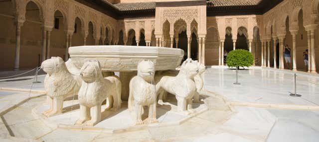 Visita guiada por la Alhambra y los Palacios Nazaríes con entradas
